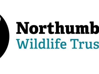 Northumberland Wildlife Trust logo