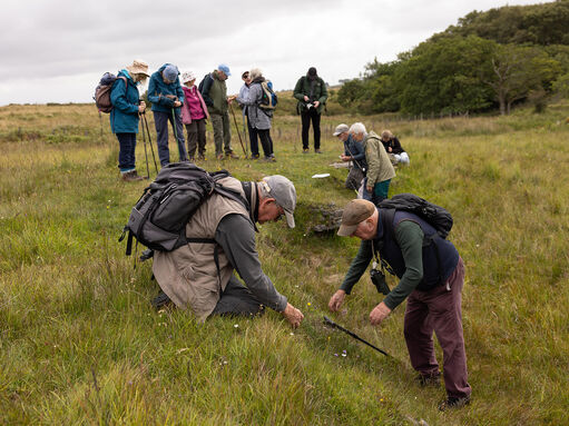 Sir David Attenborough champions landmark Rothbury Appeal to raise £30m ...