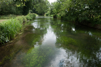 Chalk river