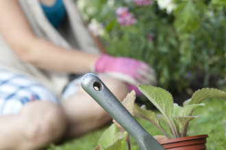 gardening