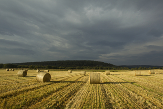 Hay Bales - Mark Hamblin 2020Vision