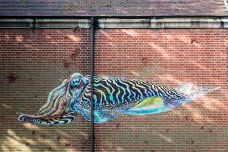 ATM Cuttlefish - Paul Gonella