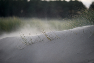 Sand Dune - David Tipling 2020VISION