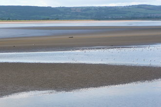 Severn Karen Lloyd