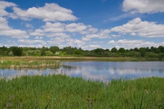Potteric Carr flood waters (c) Matthew Roberts