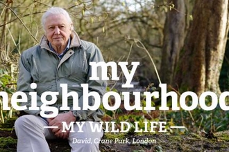 David Attenborough My Wild Life