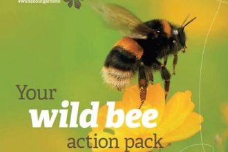 Wild About Gardens Bee Action Pack
