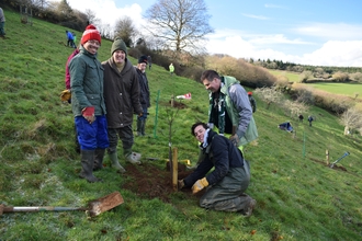 Bats Devon Treem Planting at Camphill