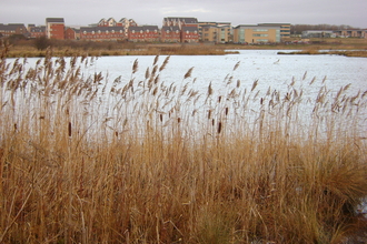 Bowesfield and Preston Farm