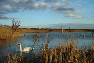 Coatham Marsh