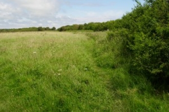 Cwm Colhuw