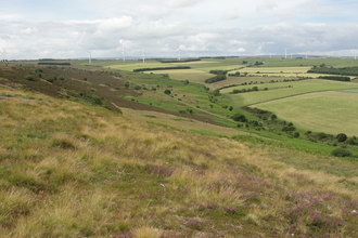 Hedleyhope Fell
