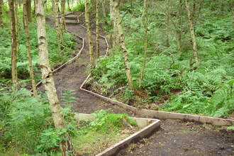 High Wood