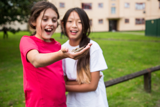 Children exploring urban nature