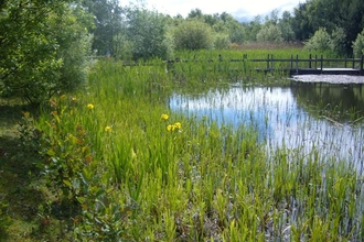 Jupiter Urban Wildlife Centre