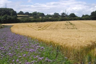 Lower Smite Farm