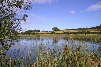 Margrove Ponds