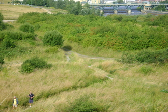 Maze Park