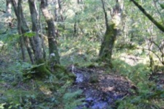 Nant Melin