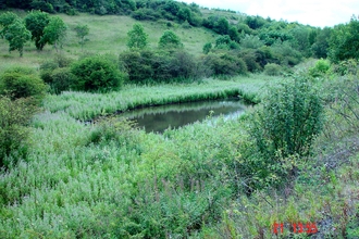 Raisby Hill Grassland