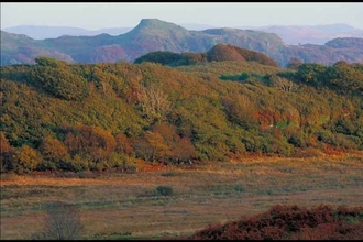 Ballachuan Hazelwood