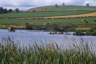 Bemersyde Moss