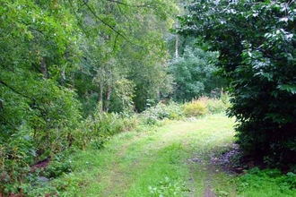 Brock Wood
