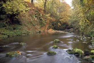 Carron Glen