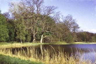 Duns Castle