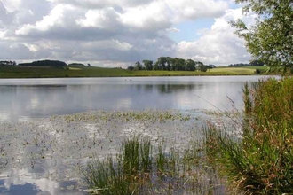 Hoselaw Loch and Din Moss