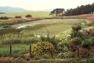Milkhall Pond