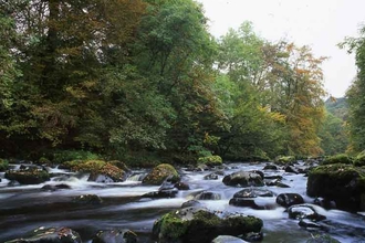 Roslin Glen