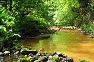Saltburn Gill