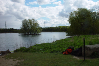 Shibdon Meadow