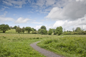 Smallbrook Meadows