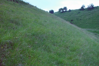 Town Kelloe Bank