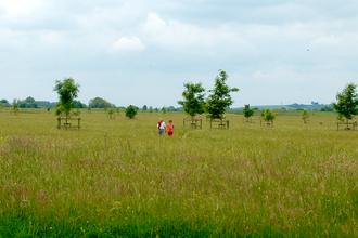 Trumpington Meadows nature reserve