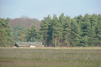 Weeting Heath