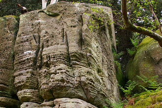Eridge Rocks
