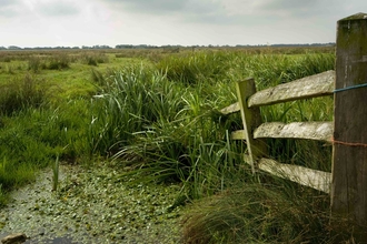 Pevensey Marshes 
