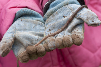 Worm held in gardening gloves