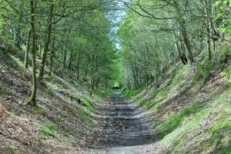 Old railway nature reserve