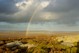 Scenic view of heather moorland with rainbow