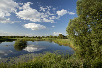 Woodwalton Fen Nature Reserve