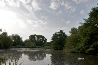 Woods Mill