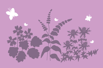 bird and butterfly plants illustration