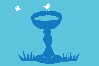 water for birds illustration