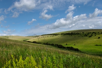 Southerham Farm Sussex Wildlife Trust