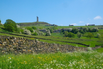 Stirley Farm Yorkshire Wildlife Trust
