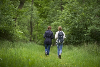 Walking in Wareseley Wood (Matthew Roberts)